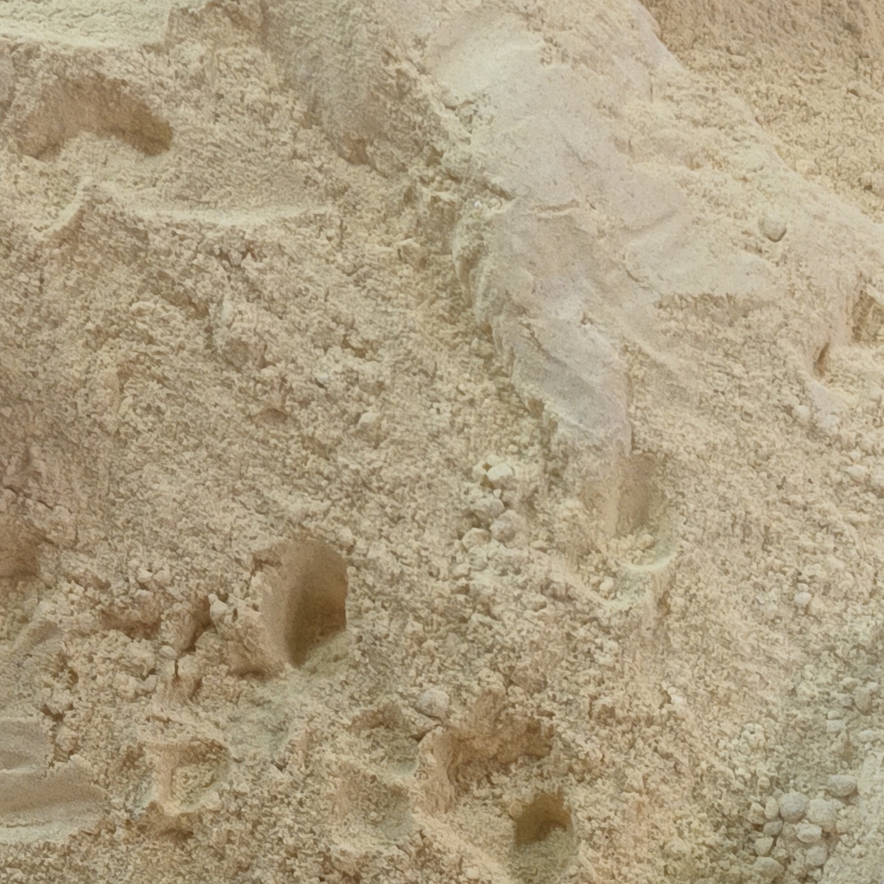 Ground dried ginger